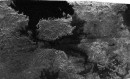Cassini nos ofrece un tour guiado por el lago Ontario de Titán (Saturno)