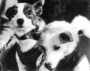 La increíble historia de los perros que viajaron al espacio y volvieron