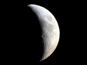 A la Luna, en 2014