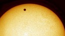 Cómo ver el tránsito de Venus