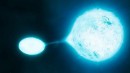 Las Estrellas Vampiro están aquí
