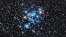 Descubierto un nuevo y raro tipo de estrella