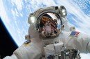 Las Moscas que salvarán Astronáutas