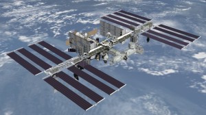 Encuentran Plancton viviendo en la superficie exterior de la Estación Espacial