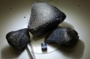 Meteorito Marciano Revela Signos de Vida