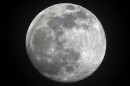 Japón Rumbo a la Luna