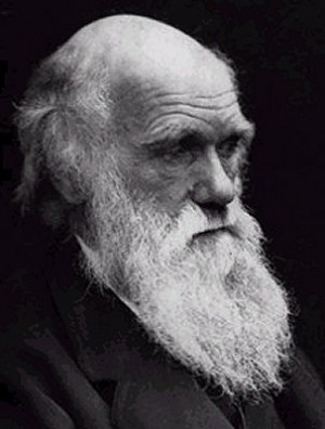 Reino Unido celebrará el Año Darwin con controversias