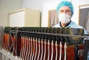 Hallan fuertes indicios de una partícula capaz de romper los esquemas de la Física
