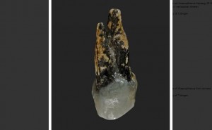 Los Dientes que Obligan a Reescribir la Historia de los Humanos