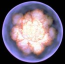 Afinando los Valores de Luminosidad de Supernovas Usadas Como Referencia