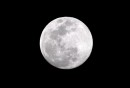La NASA opta por un diseño argentino para construir un hábitat en la Luna