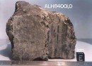 Fósiles de insectos son encontrados en meteorito marciano que aterrizó en la Tierra hace 13.000 años